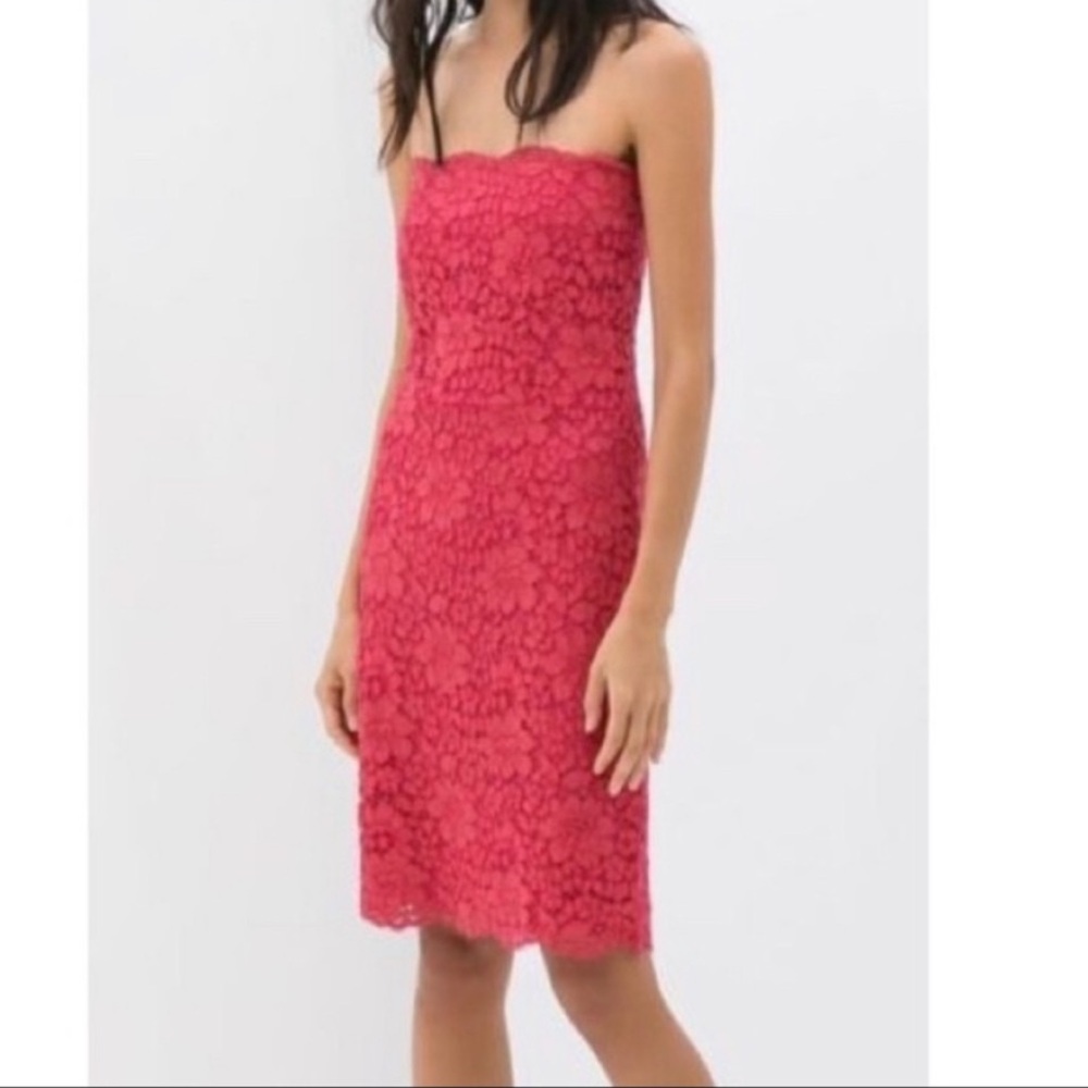 Zara Bodycon Pink Strapless Lace Dress